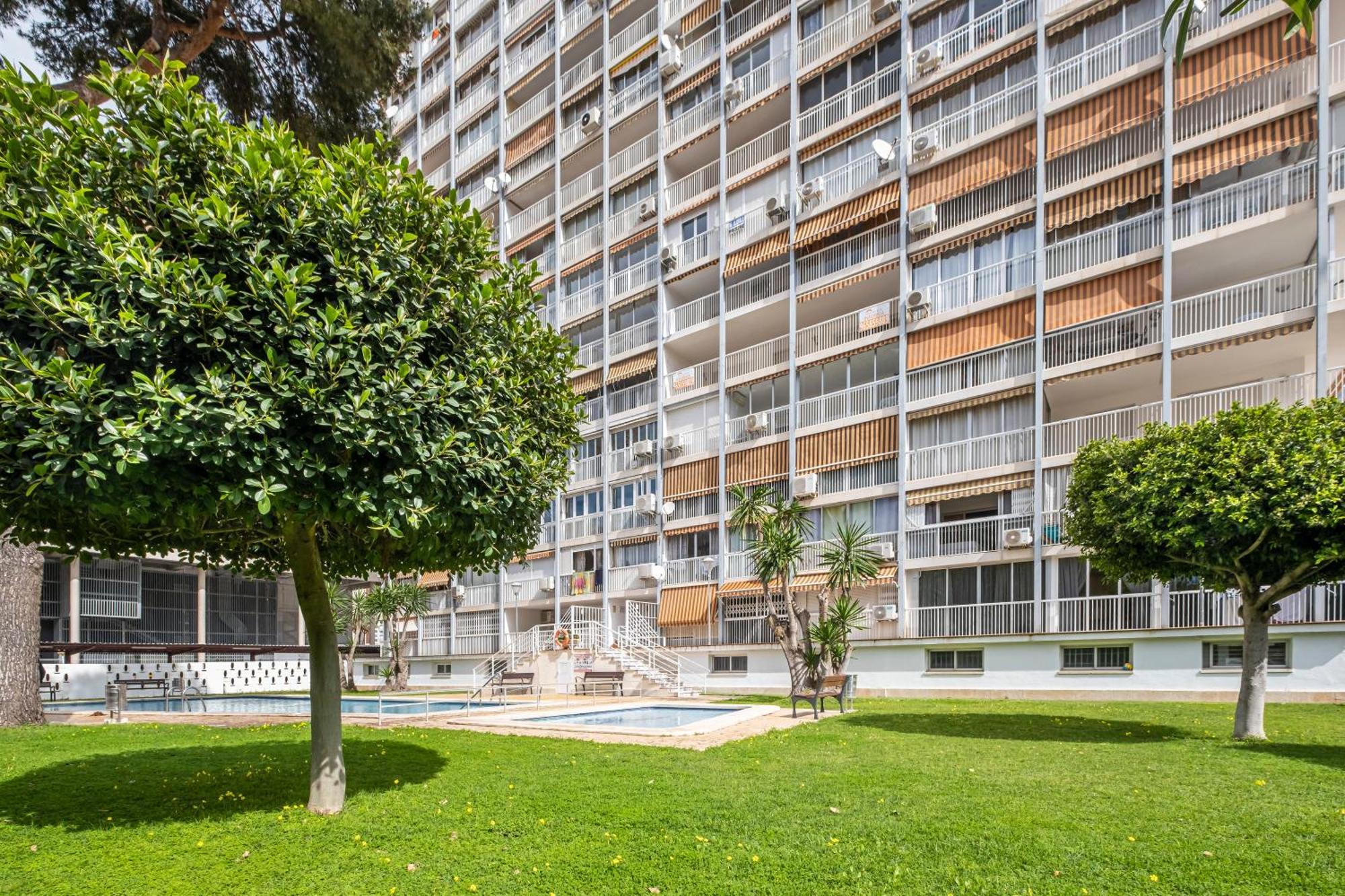 Albatros 14-10 Estudio Levante Appartement Benidorm
